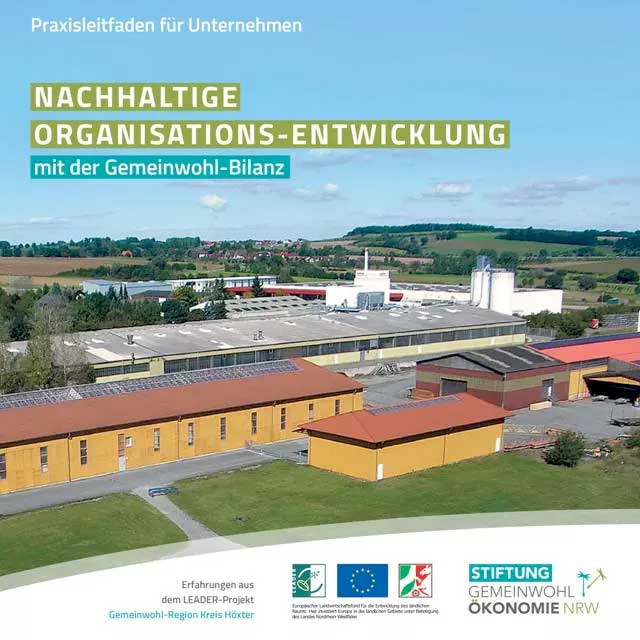 praxisleitfaden-gemeinwohl-bilanz-unternehmen